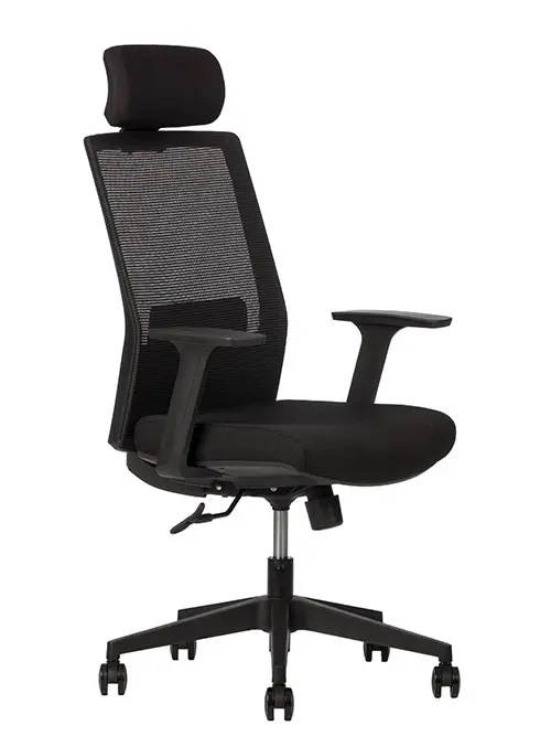 Artic Black