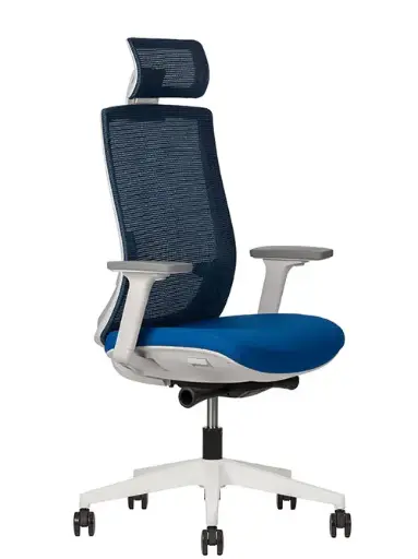 Polar noma