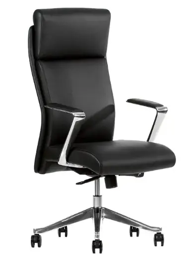 CEO